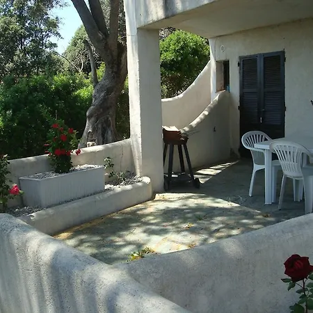 Apartman L'alivetu *