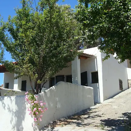 Apartman L'alivetu