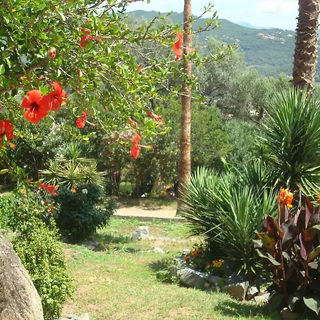 Apartman L'alivetu *